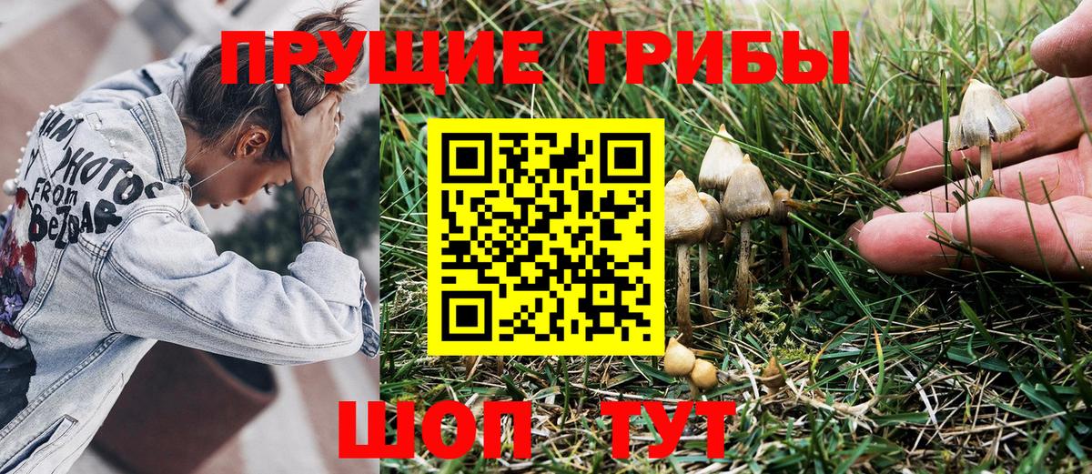 Псилоцибиновые грибы Magic Shrooms Симферополь