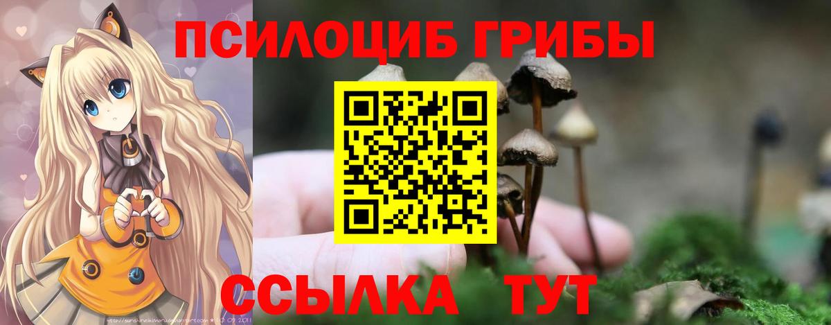 Псилоцибиновые грибы мицелий  Вход с VPN  Симферополь 